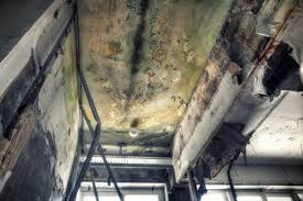 Best Emergency Mold Remediation  in Georgetown, CT